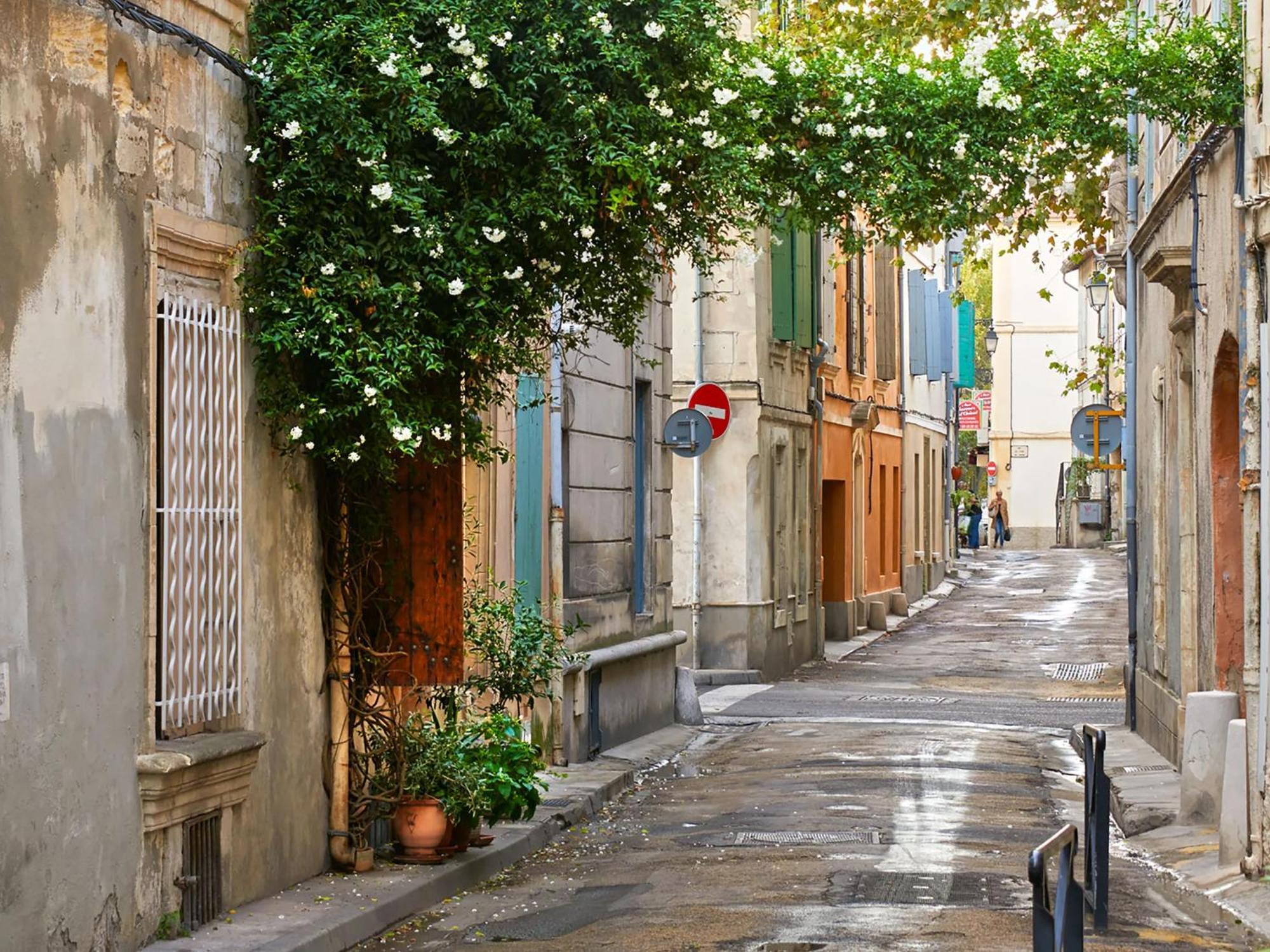 Hebergements Modernes & Cosy A T3 Et T2 Elegants * Arles